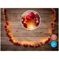 Näve LED-Outdoor-Weihnachtslichterkette l: 250cm rot