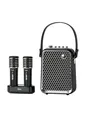 Divoom SongBird-HQ2 Karaoke speaker with 2 microphones - Black