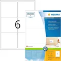 HERMA 4653 Versandetiketten, 100 Blatt, 99,1 x 93,1 mm, 6 Stück pro A4 Bogen