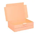 smiley pack 100 Maxibriefkartons 320 x 225 x 50 mm braun (100 Stück) DIN A4 Maxibrief Versandkarton für DHL DPD GLS Hermes Warensendung Büchersendung mit Steckverschluss