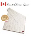 Neu Canada Dreams Luxus leichte Sommerdecke Daunendecke 200x200 cm DownPass