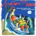 Vergueiro,Guilherme - Amazon Moon: the Music of Mike