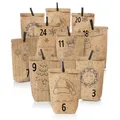 Nordstern Adventskalender zum Befüllen - Geschenktüten Set mit 24 Tüten, Mini Wäscheklammern und Zahlen Aufklebern zum Basteln für Kinder, Frau und Mann