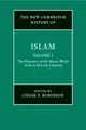 Chase F. Robins The New Cambridge History of Islam: Volume 1, The  (Taschenbuch)
