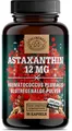 Astaxanthin 12mg -WICHTIG: Oxidationsfrei durch veresterte Struktur -Direktbezug aus Frankreich (keine China Ware)- Zertifiziertes Astaxanthin hochdosiert 90Stk DE SCHEUNENGUT®