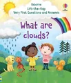 Katie Daynes Very First Questions and Answers What are clouds? (Kartonbuch)