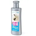 Blond Time Silber Shampoo