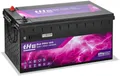 tHEnergy tHE Bat Pro 410 Lithium-Batterie LiFePO4, 10,5-14,6V, 410Ah