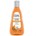Guhl Feuchtigkeitsaufbau Shampoo 250 ml