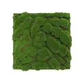 JANGAL Modular Wall Pflanzenwand  520 x 520 mm Design Moos Forest Green Big Bulk