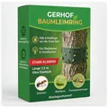 Leimring für Obstbäume, Baumleimring 3,5 m, stark klebend, Insektizidfrei