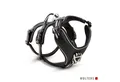 Wolters Hunde-Geschirr Active Pro No Escape