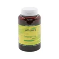 Cordyceps CS-4 Extrakt Kapseln 120 Stück – Mit 20 % Polysacchariden | Standardisierter Cordyceps CS-4 Extrakt | Veganer Bio-Nährboden | Einfache Einnahme
