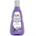 Guhl Silberglanz & Pflege Shampoo 250 ml