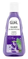 Silberglanz & Pflege Shampoo  Inhalt 250 ml  AntiGelbstich und Pflege für gra...