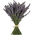 TooGet Natürliche Lavendel Bündel, Frisch Geerntete 400 Stämme Getrockneter Lavendel Bouquets 40-45cm Lang, Dekorative Blumenstrauß Für Wohnkultur, Kunsthandwerk, Hochzeit Oder Jede Gelegenheit