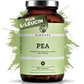 QIDOSHA® Palmitoylethanolamid PEA Kapseln hochdosiert, 180 Kapseln im Apothekerglas, 1200mg PEA je Tagesportion, deutsche Fertigung, jede Charge laborgeprüft, plus Leucin
