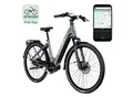 Tretwerk Amber Nexus E Bike Damen 28 Zoll Elektrofahrrad 155 - 185 cm Hollandrad Tiefeinsteiger anthrazit 48 cm