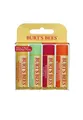 Burt's Bees Lip Balm Freshly Picked