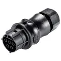 Wieland Electric X6.051.4053.1 Steckverbinder