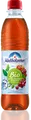 Adelholzener Apfel Trauben Schorle PET - Mehrweg - 12x500ml