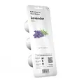 Click and Grow Lavendel-Nachfüllpack für Smart Garden