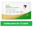 30x Hotgen Haltbarkeit 11/10/26 Corona Schnelltest Antigen Selbsttest Test Nasal