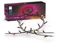 Philips Hue Lichterkette Festavia