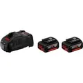 Starter-Set 18V (2x GBA 18V 5.0Ah + GAL 1880 CV Professional), Ladegerät schwarz, 2x Akku + Ladegerät, AMPShare Alliance