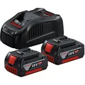 Bosch Werkzeug-Akku Starter-Set, 18V / 5,0Ah, 2 Akkus und Ladegerät