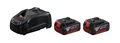 Bosch Starter-Set 2x 18V5.0AH + Ladegerät GAL1880CV 1600A00B8J