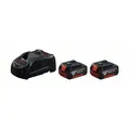 Akku-Starter-Set, 2x GBA 18 V 5,0 Ah M-C und GAL 1880 CV (1600A00B8J)