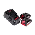 Bosch Akku Starter Set 2x Akku 5,0Ah + Ladegerät ( 1600A00B8J )