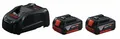 3165140839341 Bosch 2 x GBA 18V 5.0Ah + Ladegerät GAL