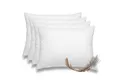 wometo Federkissen 4er Pack, 40x60 cm, Füllung: Federn, Bezug: Baumwolle, 4er Set, OEKO-TEX®, Kissenfüllung Bezug Baumwolle & 100% Federn