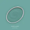 Wandfarbe Grün matt | The Color Kitchen Magical Mint | Innendispersion