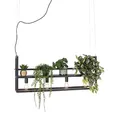 Qazqa - Industrie I Vintage I Industrie I Vintage I Hängelampe I Pendellampe I Pendelleuchte schwarz mit Gestell 4-flammig - Cage Rack I Wohnzimmer I Schlafzimmer - Stahl Länglich - LED geeignet E27