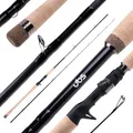 ZECK - Cast-Rute von Uli Beyer - Big Bait Cast 260 | 200
