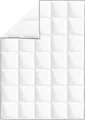 vidaXL Winter-Daunendecke 2 Stk. 155x220 cm