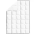 vidaXL Daunenbettdecke, Winter-Daunendecke 2 Stk. 155x220 cm