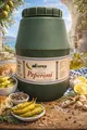 Leckere griechische grüne Peperoni von Alimpex im Faß 4,5kg Peperoni mild pikant