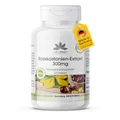 Rosskastanienextrakt Kapseln - 300mg pro Kapsel - 120 Kapseln - schluckfreundlich - hochdosiert - vegan - mit 20% Aescin | HERBADIREKT by Warnke Vitalstoffe - Deutsche Apothekenqualität