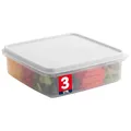 Vorratsbehälter aus Kunststoff mit Deckel - 3L Cupcake Carrier - Auslaufsicher Keksbehälter Luftdicht - BPA-freier Kunststoffbehälter mit Deckel für Lebensmittelaufbewahrung, Mahlzeitvorbereitung,