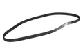 Zahnriemen CONTINENTAL CT873
