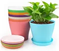 Bunte Pflanztöpfe 8 Stück 10cm - Kunststoff Blumentopf für Kakteen Sukkulenten