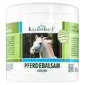Kräuterhof® Pferdebalsam kühlend (500ml) – kühlendes Massagegel für müde Muskeln & Gelenke mit angenehm kühlender Wirkung, zur Pflege bei Muskelkater, Rückenverspannungen & Gelenkbeschwerden