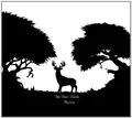 the Deer Tracks - Aurora