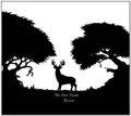 The Deer Tracks Aurora (CD) Album