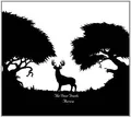 The Deer Tracks Aurora CD Folk Indie Elektronisch Atmosphärisch NEU