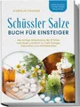 Schüssler Salze Buch für Einsteiger: Die richtige Anwendung der 27 Salze individ